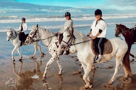Horseback Riding Experience at Casablanca Beach
