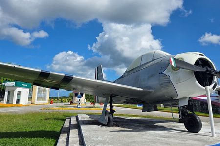 Historical Island Walking Tour WWII Aircraft to Mayan Pyramid