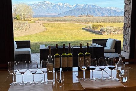 3 Wine Tasting and Harmonized Lunch Tour in Mendoza