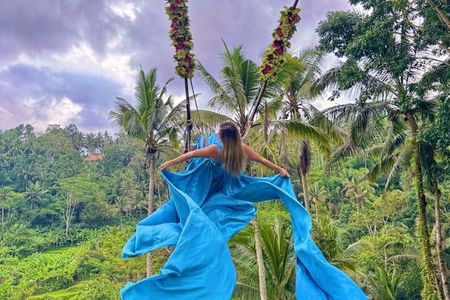 Private Bali Tour Bali Swing Rice Terrace Temple and Waterfall