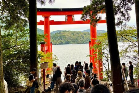 Private Mt. Fuji & Hakone Highlights Tour by Luxury Car