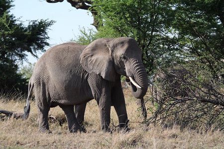 2-Day Tarangire & Ngorongoro Crater Safari