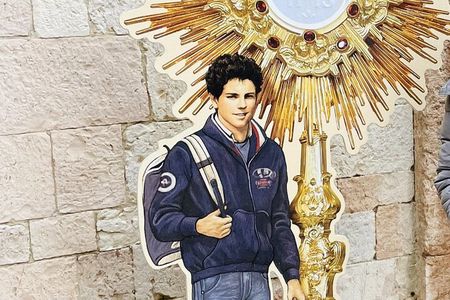 Assisi: Three Saints, St Carlo, Francis & Clare Walking Tour