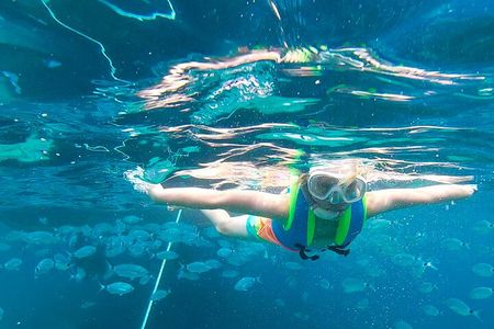 Meet the Sea: Family Boat trip to Conillera island