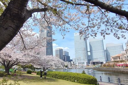 Yokohama Private Tour