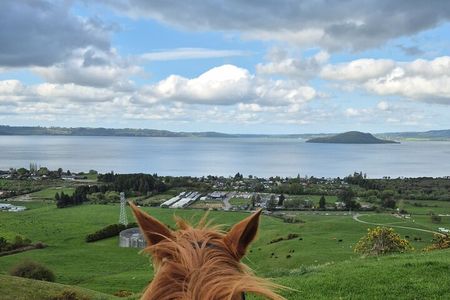 Scenic Horse Trekking Adventure in Rotorua