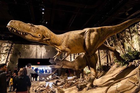 Private Day of Dinosaurs & Hoodoos from Calgary to Badlands