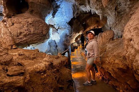 Private Tour: Ruakuri Cave, Waitomo Glowworm & Hobbiton Movie Set