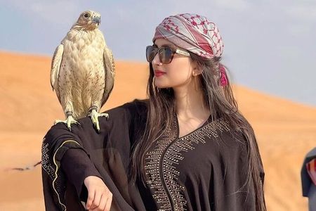 4-Hour Red Dunes Private Dubai Desert Safari (No Camp) –