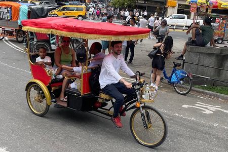 Private Central Park Pedicab Guided Tour with Photo Stops