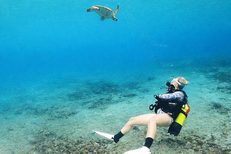 Private Diving Experience – 2 Dives per Person
