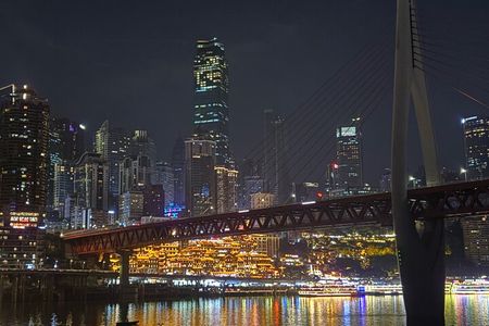 Private Chongqing Tour by Car with English Guide