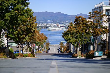 Hakodate Highlights 5 Hours Private Shore Excursion