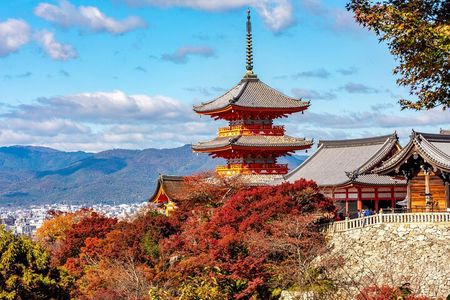 Kyoto Half Day Small Group Tour