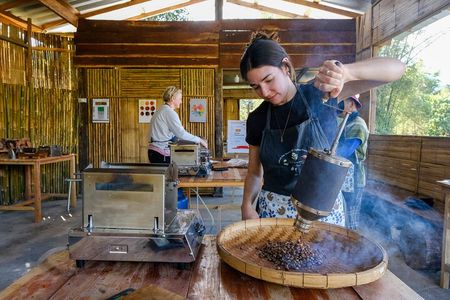 Chiangmai Jungle Coffee Farm Tour: 4WD, Trek, Roast & Brew DIY.