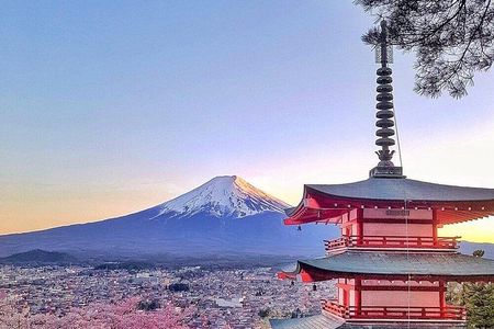 Mount Fuji Full-Day Private Tour with Hotel Pickup (Customizable)