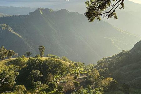 Ella Rock Hiking Tour with Sunrise or Day Options