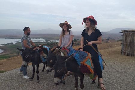 Fez Private Day Tour to Volubilis Moulay Idriss and Meknes