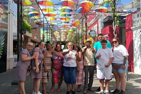 City Tour From Taino Bay And Amber Cove Shore Excursion