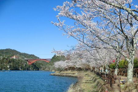 From Nagoya: Eihoji, Enakyo, Magomejuku & Tsumagojuku Day Tour