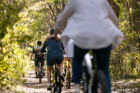 Half Day Wadandi Track Scenic E-Bike Tour