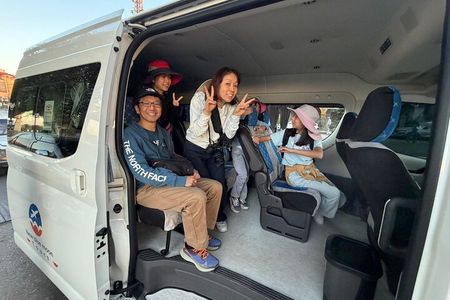 Aswan to Luxor to Visit Kom Ombo and Edfu Temples Sharing Tour