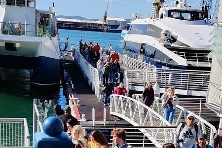 Half Day Experience in Robben Island Museum From Cape Town