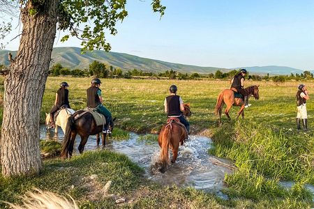 2 Hour Horse Riding Tour at Palomino Ranch near Tbilisi