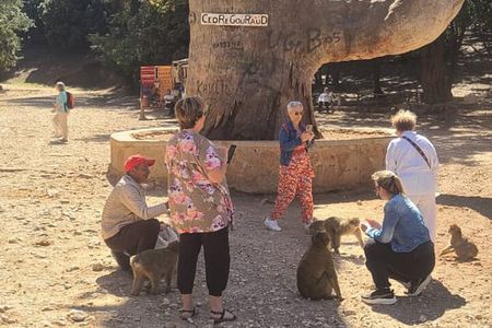 Private Exclusive Fes to Middle Atlas Day Trip via Ifrane 