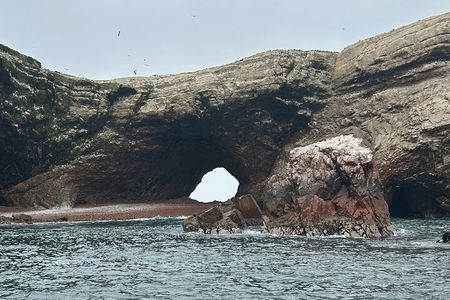 2-Day Tour in Paracas and Visit Huacachina