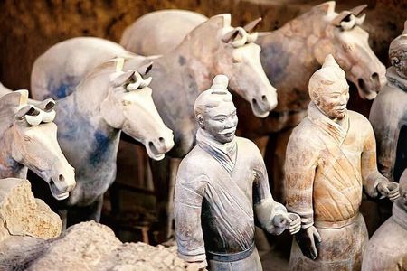 Xi'an: Morning Terracotta Army Tour with Local Family Lunch