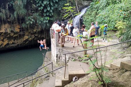 Shared Tour: Annandale Waterfalls, Forts & Grand Anse Beach.