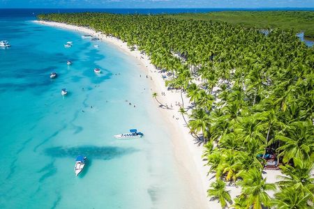 Saona Island Small-Group Tour with Natural Pool, Lunch & Drinks