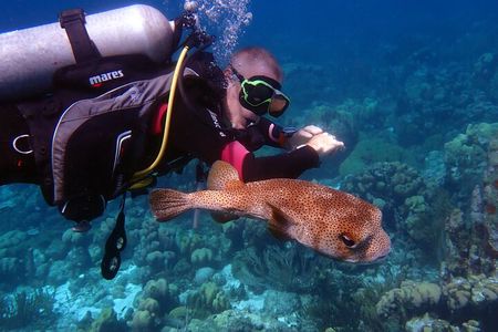 Private VIP Certified Scuba Diving in Curaçao