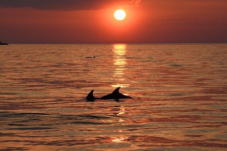 Medulin: Sunset Speedboat Cruise with Wine Tasting