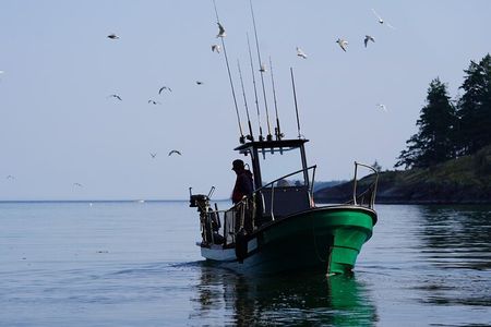 Campbell River - Fishing charters: Family-friendly & affordable
