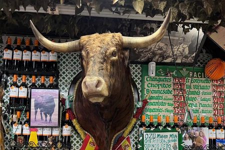 Madrid’s Most Famous Immersive Walking Tour