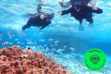 Okinawa Miyako Natural Aquarium! Tropical Snorkeling Tour