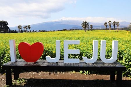 Jeju: UNESCO-Listed Southern Authentic Day Tour