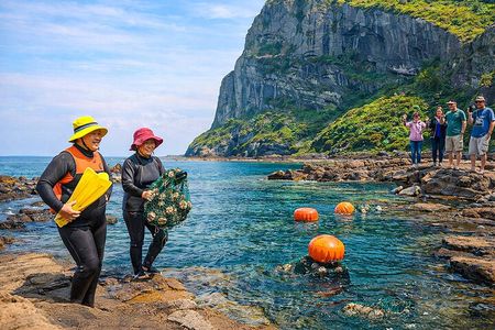 Jeju island Eastern UNESCO site Full Day Guided Tour