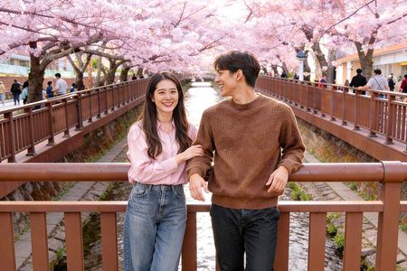 Seoul to Jinhae Cherry Blossom Festival (With Busan Drop-off)
