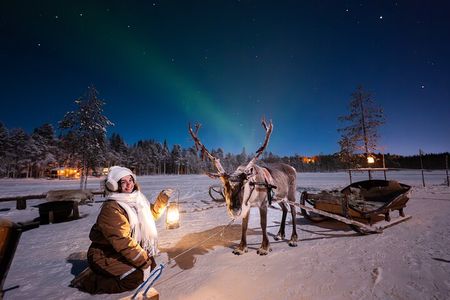 Ranua Lupland Aurora Activity Park – After Dark Adventure