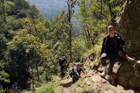 Table Mountain: Skeleton Gorge Guided Hike to Upper Station