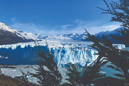 Excursion to the Perito Moreno Glacier, with guide and transfer to / from the hotel