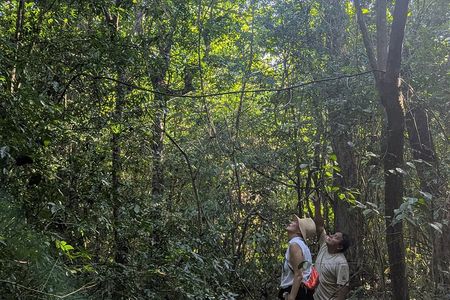 Private Monkey Sanctuary Trails with Zipline Canoe and Cenote