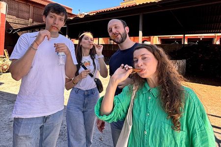 One day trip : Mezcal, Tlayudas & Textil