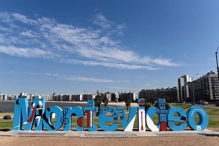 Shared Montevideo Tour for Cruisers