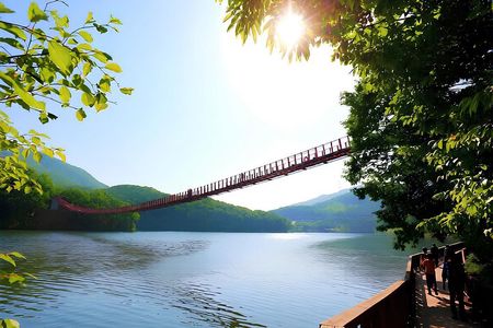 DMZ Private: Defector Talk, Mountain Temple & Majang Lake Bridge