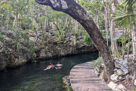 Tulum Private Cenotes Trio - Open, Semi Open and Cave experience