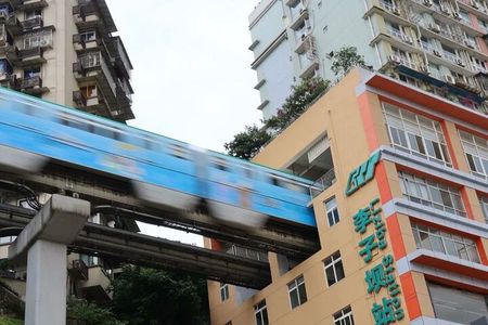 All Inclusive Chongqing private One day City Explorer 